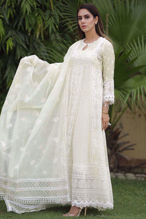 chiffon chikan suits